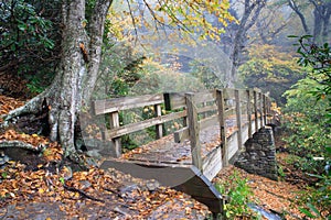 NC Pedestrian Footbridge Autumn Rain