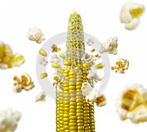 Ncob explodes and produces popcorn healthy vegetarian food