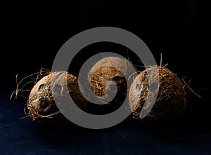 Coconuts, naturally burlap and fresh from the tree photo