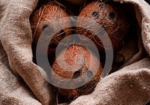 Coconuts, naturally burlap and fresh from the tree photo