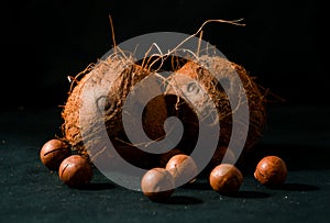 Coconuts, naturally burlap and fresh from the tree photo