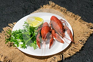 Cooked crayfish on a plate. Close-up.