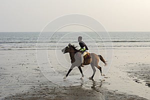 2nd February, 2022, Digha, West Bengal, India: An young horse rider riding horse on beach at sunset