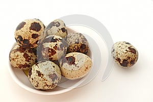 Ndog gemak or Quail eggs in the plate on the white background.