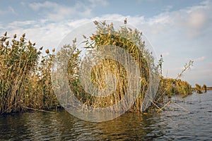 Neajlov Delta, Comana Natural Park