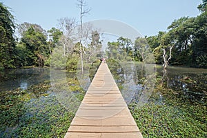 Neak Pean in Angkor, Cambodia, Built as Jayavarman VII as a Healing Temple