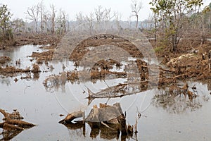 Neak Pean temple ruins