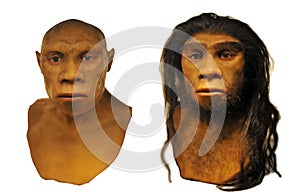 Neanderthal man face