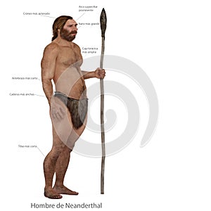 Neanderthal vs modern human