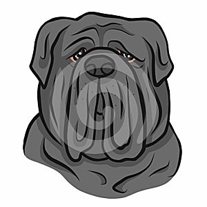 Neapolitan Mastiff dog face cartoon vector