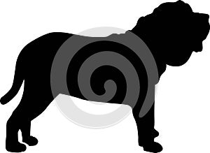 Neapolitan Mastiff silhouette black