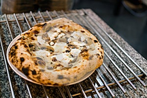 Neapolitan pizza: Stir-fried Swiss mushrooms topped with special truffle sauce pizza on the pizza cooling rack.