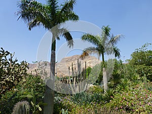 Ein Gedi Nature Reserve in Israel at the Dead Sea photo