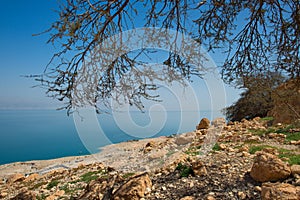 Near En Gedi desert oasis on the western shore of the Dead Sea i