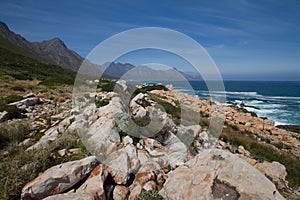 Near Gordons Bay, South Africa