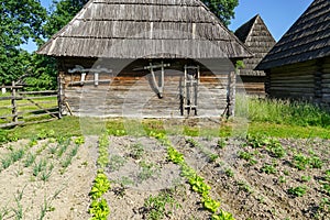 Tools for gardener in a traditional village at Sighet photo