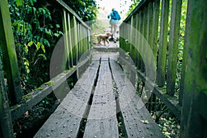 Near surface level view of a metal studded river crossing in a famous nature reserve.