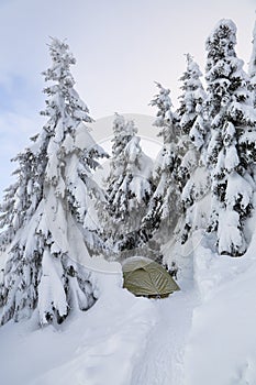 Near the tent, covered with snow. On the lawn covered with white snowflake there is a trampled path that lead to the dense forest.