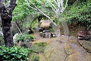 Near Viewpoint Porta da Madrugada in Sao Miguel island, Azores photo