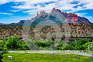 Near Zion National Park, Utah.