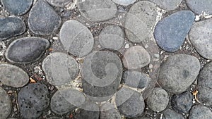 The neat ash coral lay on top of the cement