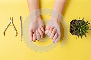 Neat beautiful french manicure on the hands of a young woman. Tool for cutting nails. Minimalism concept for nail care