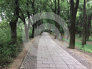 Neat Brick Road of Tiger Hill Scenic Spot in Suzhou