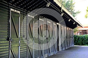 Neat line of stall doors in long green stable