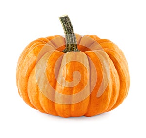 Limpio calabaza en blanco 