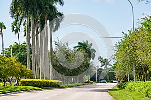 Neat and tidy landscaped streets in Weston Florida USA