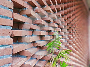 neatly arranged bricks