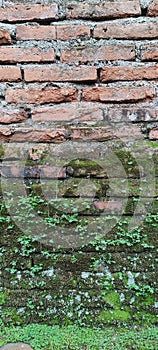 neatly arranged bricks