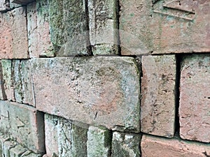neatly arranged bricks in the yard