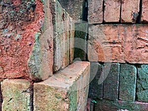 neatly arranged bricks in the yard