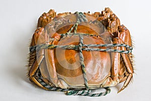 The neatly arranged delicious crab