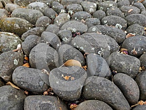 Neatly arranged Stones in the garden