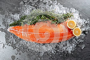 Neatly cut lengthwise raw red salmon steak on a bed of ice with sprigs of aromatic rosemary and two lemon wedges