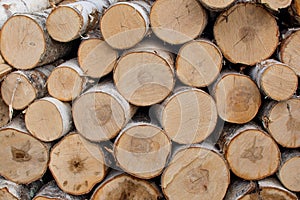 Neatly folded round birch chooks. Birch logs lie in a log, even rows