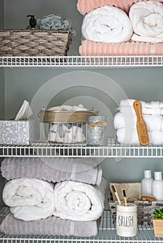 Neatly organized bathroom shelving photo