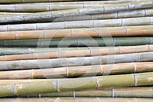 Neatly stacked the bamboo pole photo