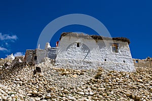 Nechung Village with Deser Landscape, Monastery in the Tibetan Influenced Mustang of Nepal