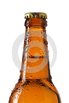 Neck of beer bottle