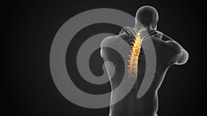 Neck joint and spine pain medical concept