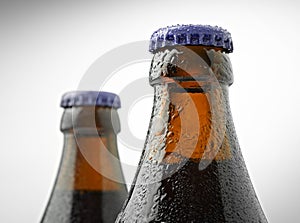 Neck of a trappist beer bottle