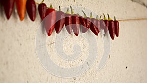 Necklace of fresh ripe chili pepper hanging to dry in the sun on a string. Gas Concrete wall in background