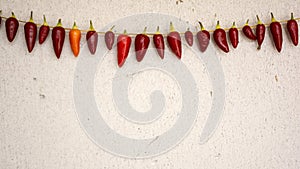 Necklace of fresh ripe chili pepper hanging to dry in the sun on a string. Gas Concrete wall in background