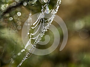 Necklace of glitter cobweb
