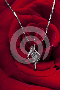 Necklace and rose