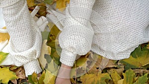 Neckline girl hands with autumn leaves then face