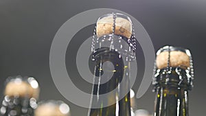 Necks of champagne bottles close up on supermarket shelves. Shooting from below